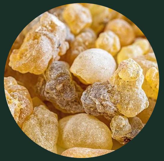 boswellia extract