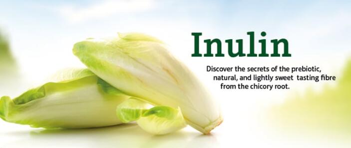 Does inulin feed bad bacteria Does inulin feed bad bacteria