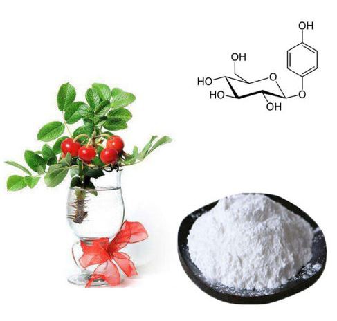 buy bearberry powder.png