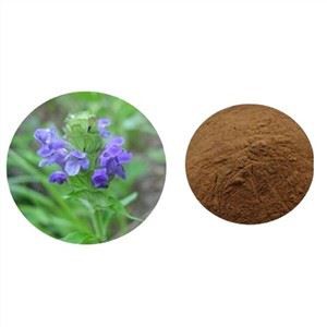 Екстракт от Прунела вулгарис