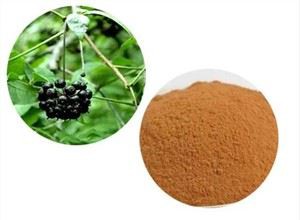 Екстракт от Acanthopanax Senticosus