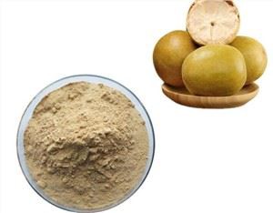 Monk Fruit Powder Bulk