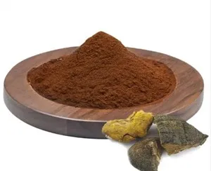 Екстракт от Phellinus Linteus
